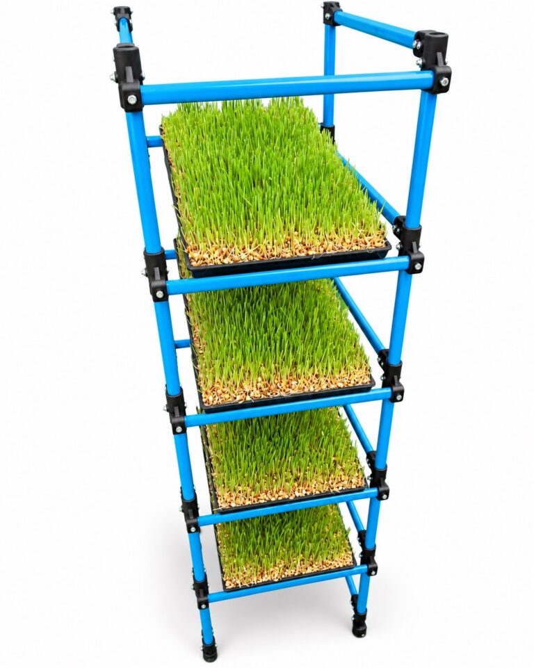 Sistema de producción de forraje verde hidropónico Omega Solari con bandejas de germinados en estructura vertical azul